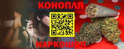 сатива Балаково
