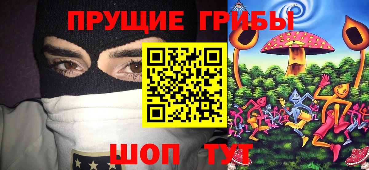 Псилоцибиновые грибы Cubensis  Псилоцибиновые грибы GOLDEN TEACHER  Вход с VPN  Гатчина 
